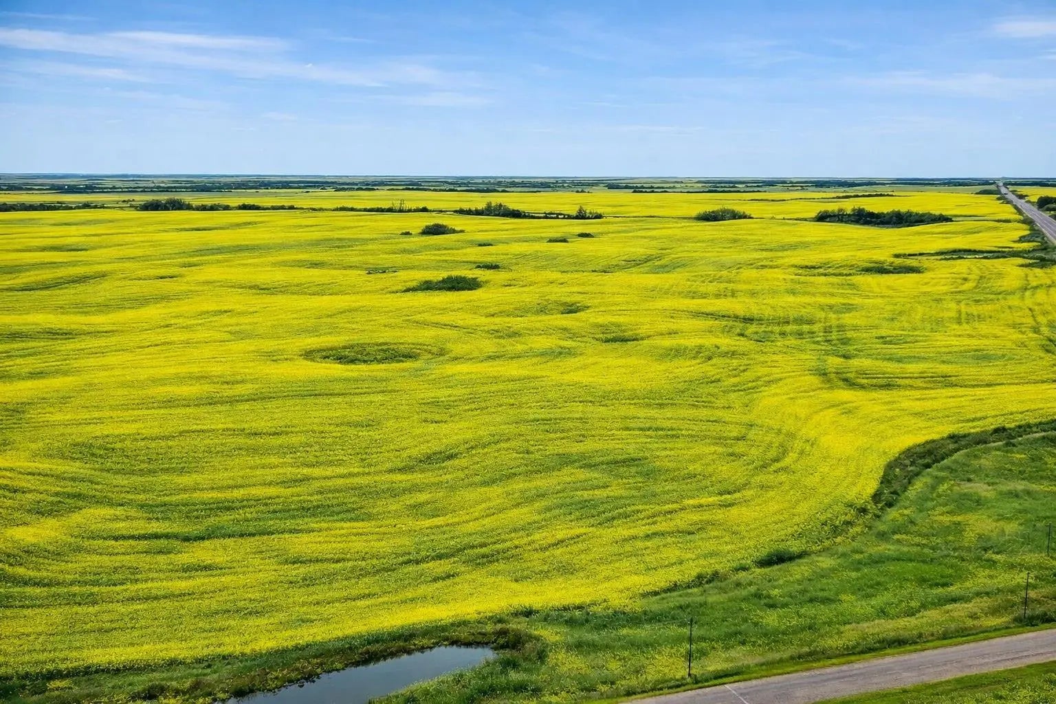 Photo of Listing #A2273743