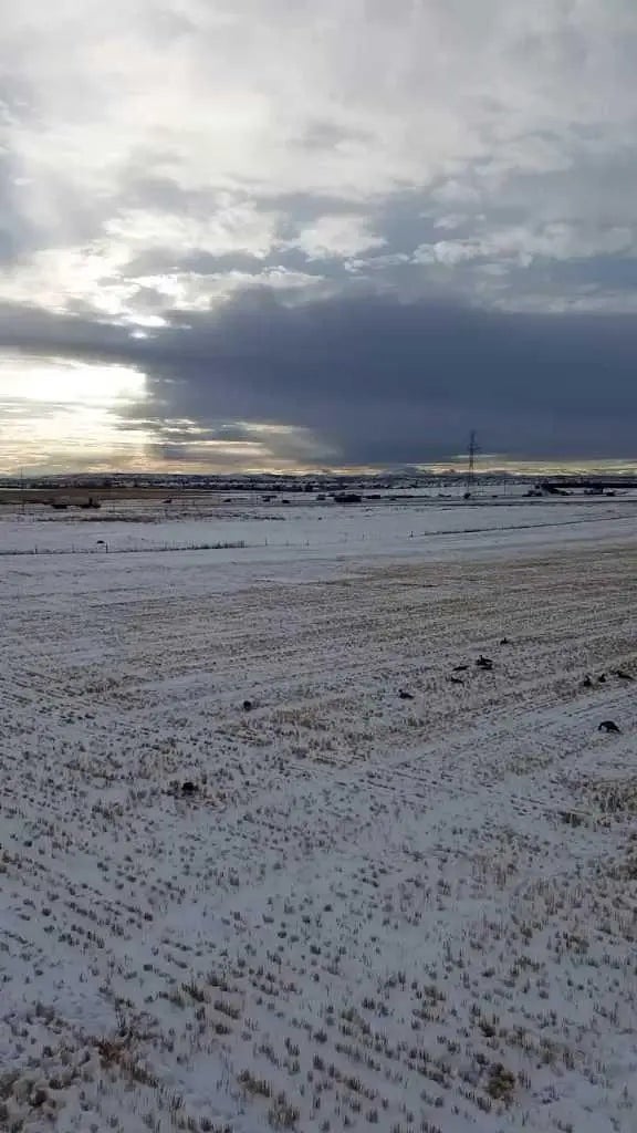 Photo of Listing #A2273759