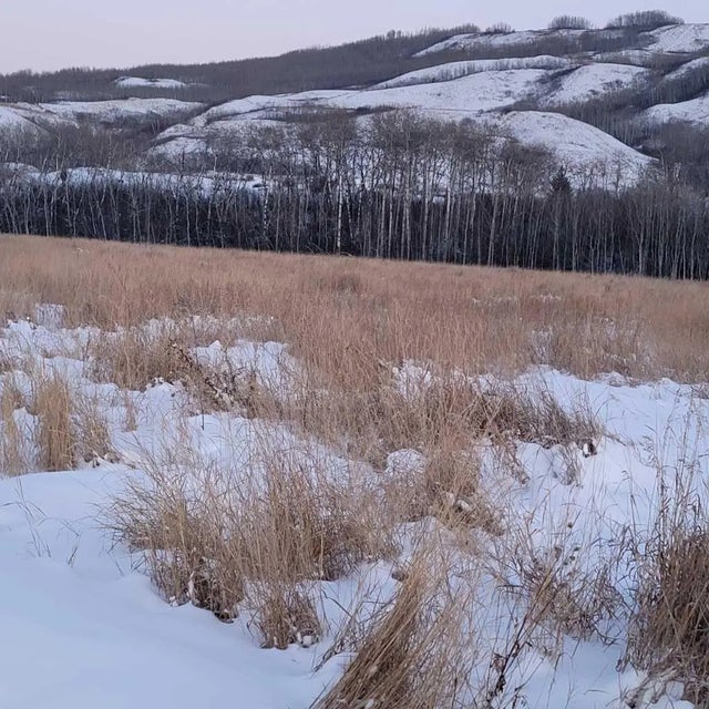 70 Ave 98 Street , Peace River