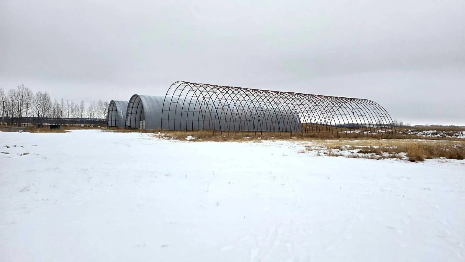 Photo of Listing #A2274645