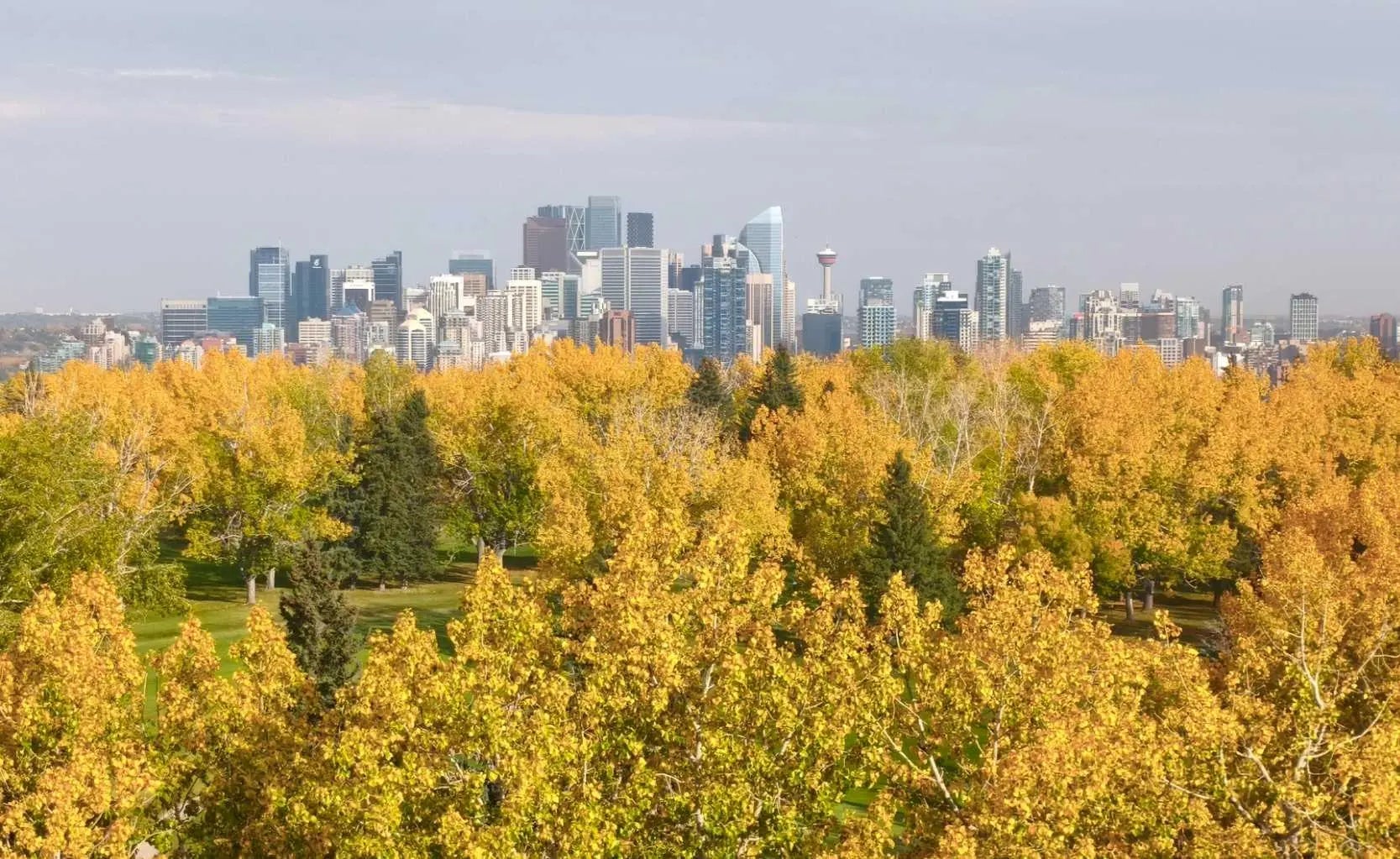 Photo of Listing #A2275095