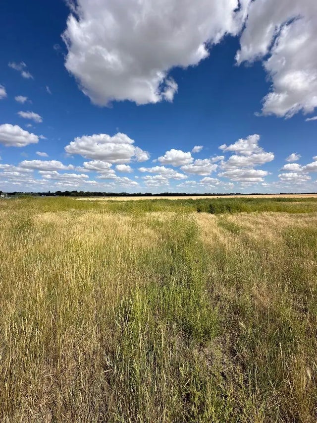 Lot 7, 12003 Range Road 60a  , Rural Cypress County