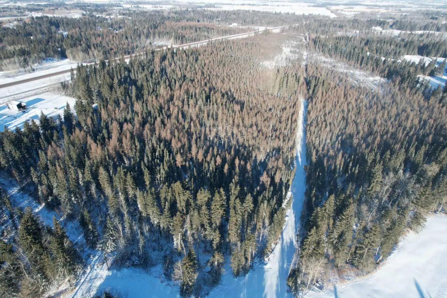 Photo of Listing #A2276041