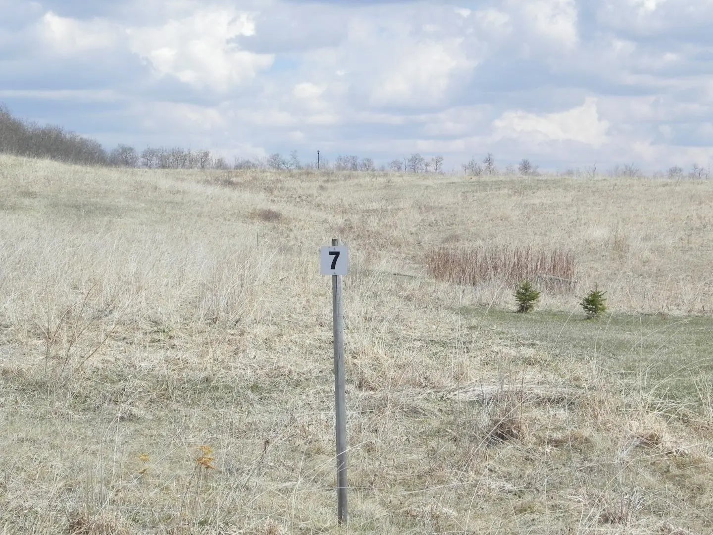 Photo of Listing #A2276865