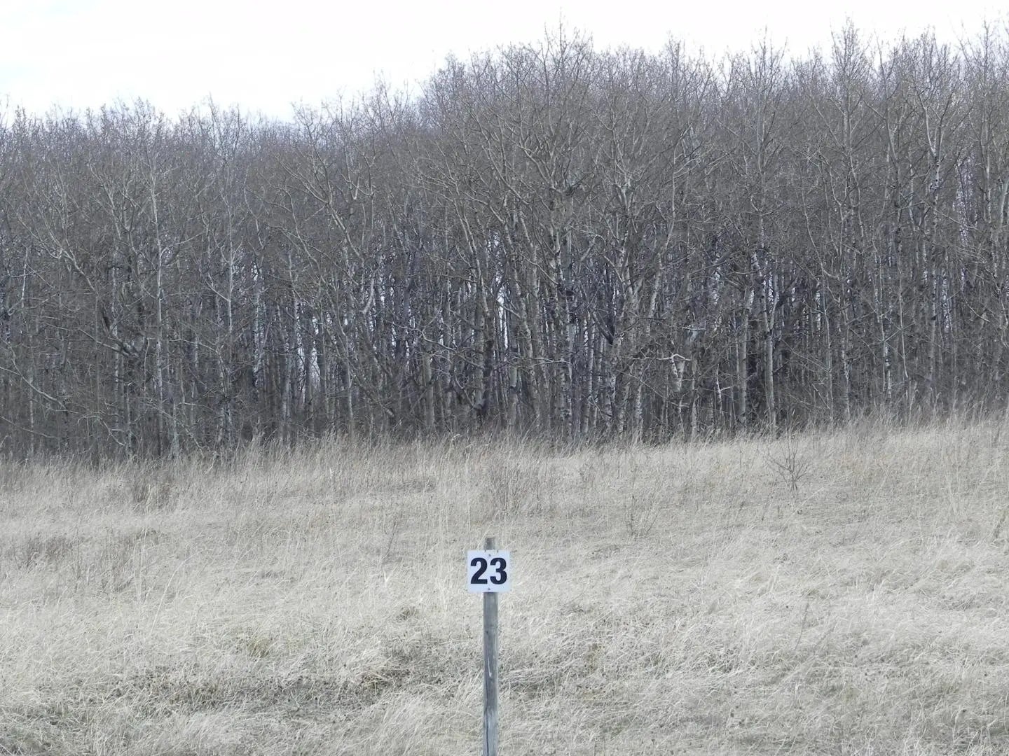 Photo of Listing #A2276866