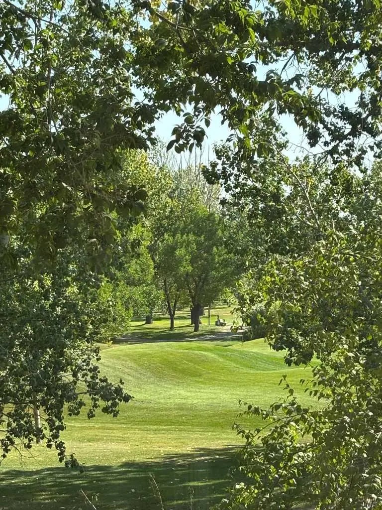 Photo of Listing #A2277679