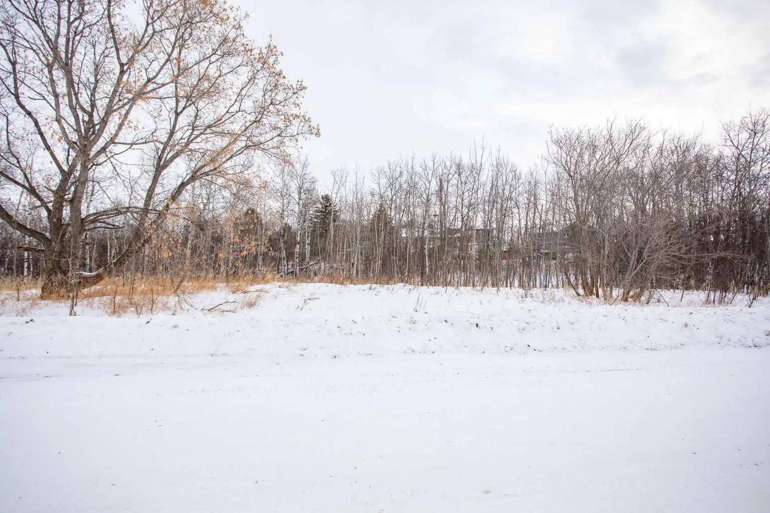 Photo of Listing #A2277853