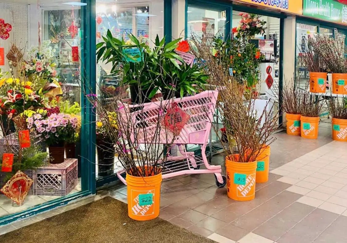 Photo of Listing #A2278628