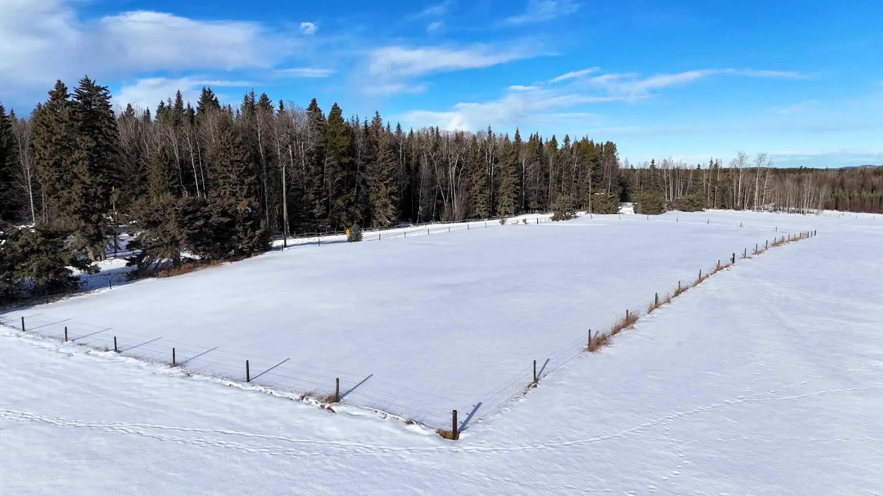 Photo of Listing #A2278745