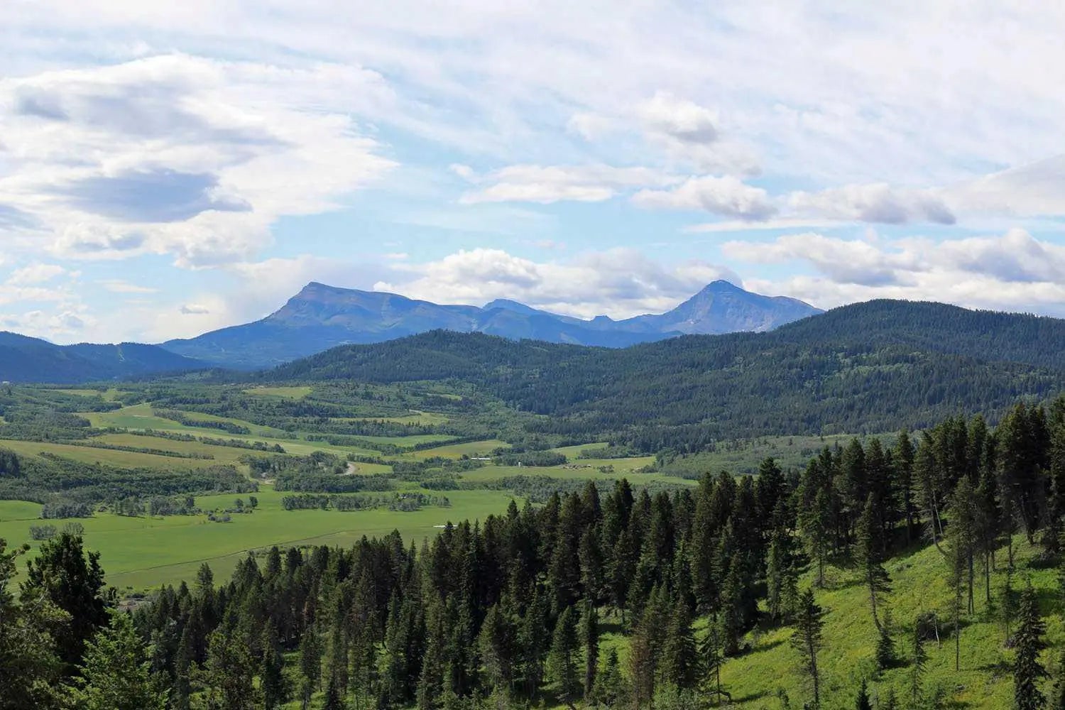 Photo of Listing #A2279278