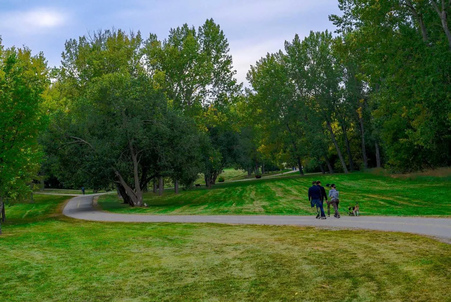 2709 18 Street Northwest, Calgary – Residential Semi Detached (Half Duplex) Listing Photo 10