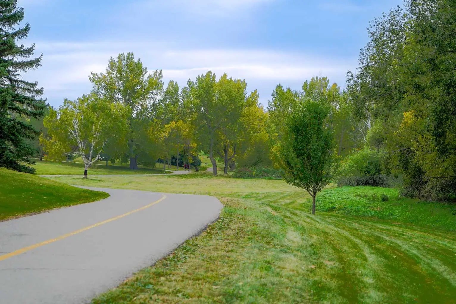 2709 18 Street Northwest, Calgary – Residential Semi Detached (Half Duplex) Listing Photo 13