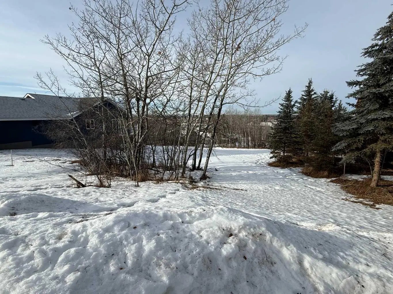 Photo of Listing #A2280223