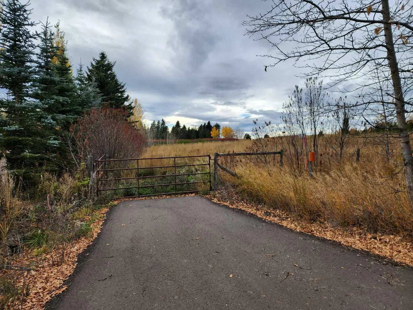 Photo of Listing #A2280376