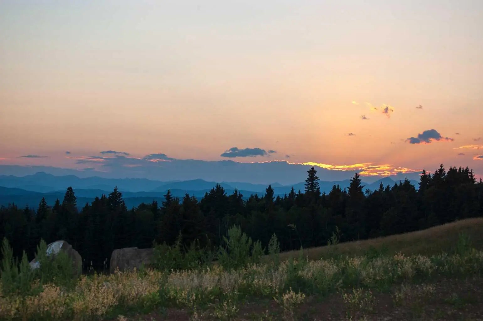 Photo of Listing #A2280993