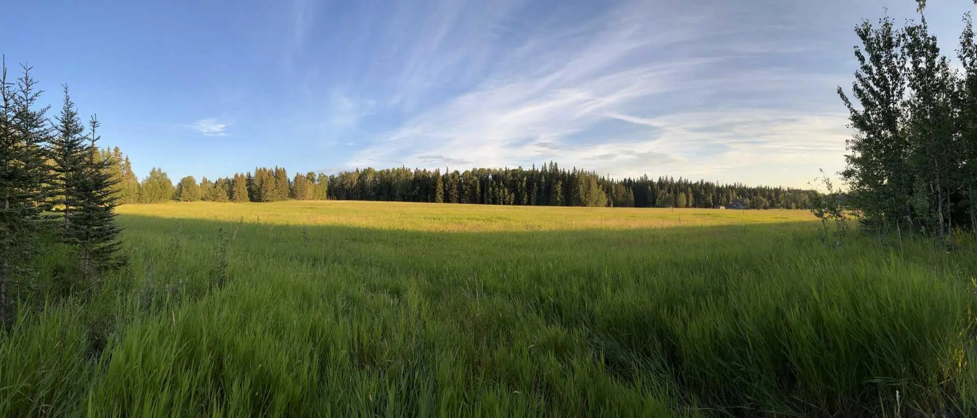 Photo of Listing #A2281192