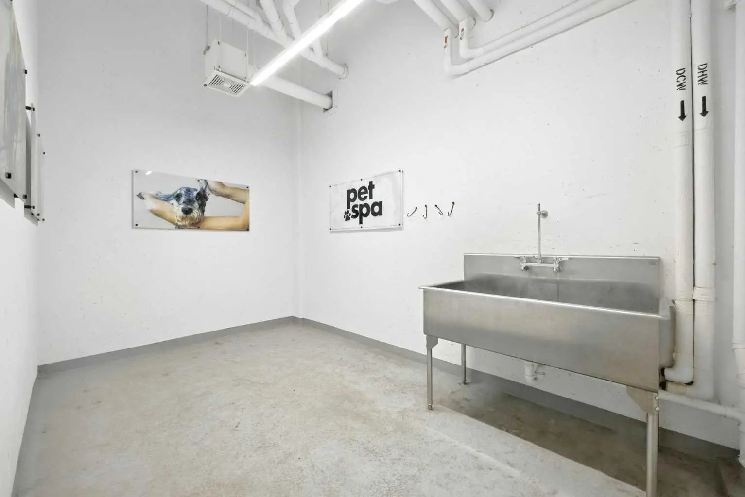 419, 4275 Norford Avenue Northwest, Calgary – Residential Apartment Listing Photo 20