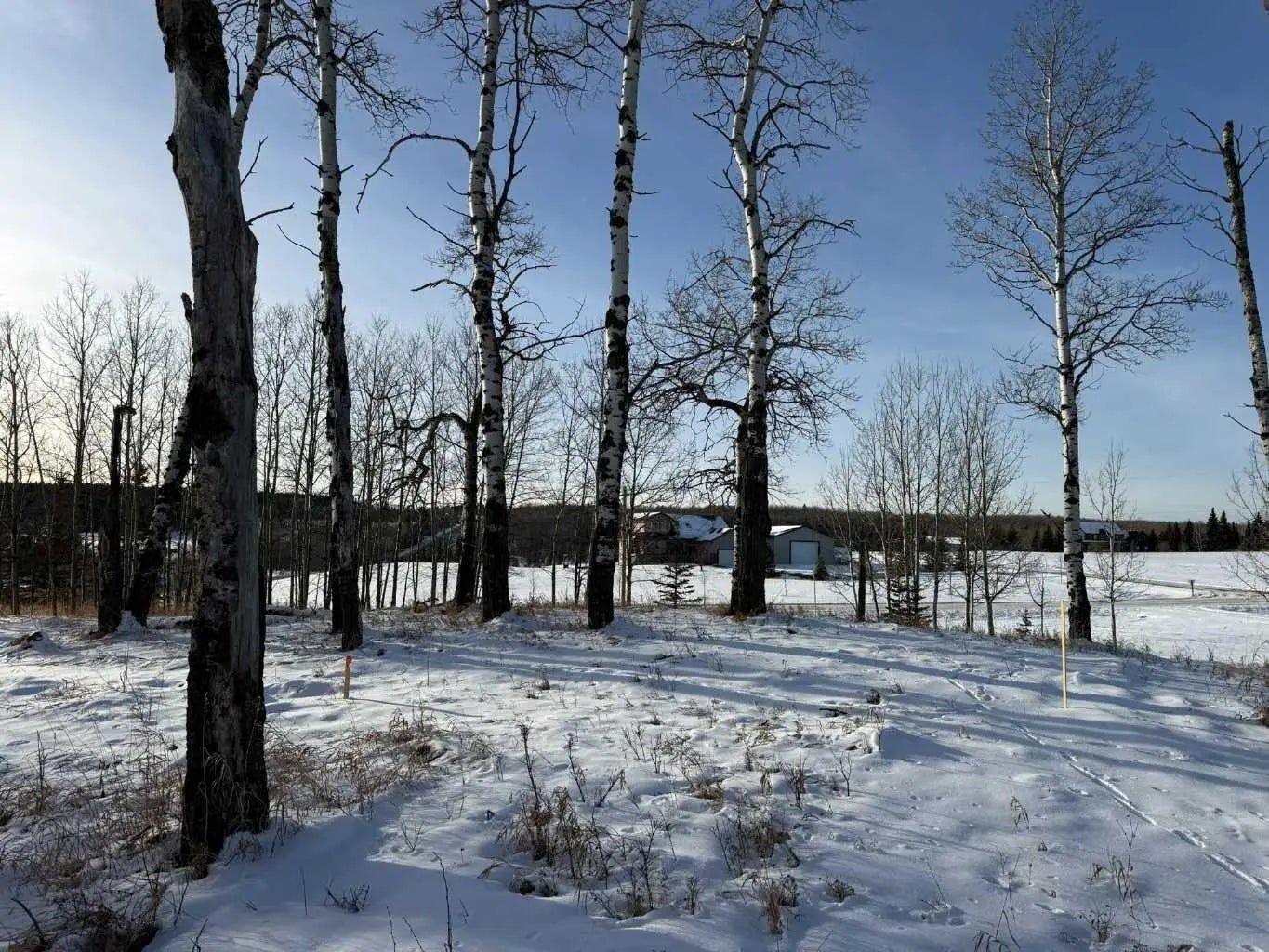 Photo of Listing #A2282234