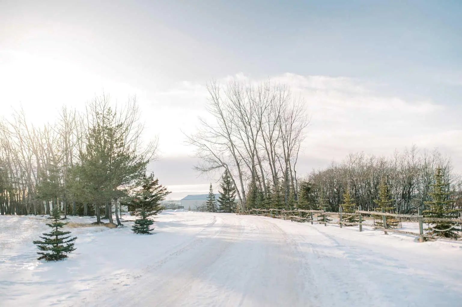 Photo of Listing #A2282849