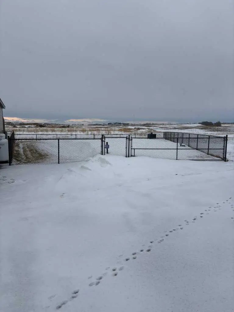 Photo of Listing #A2283283