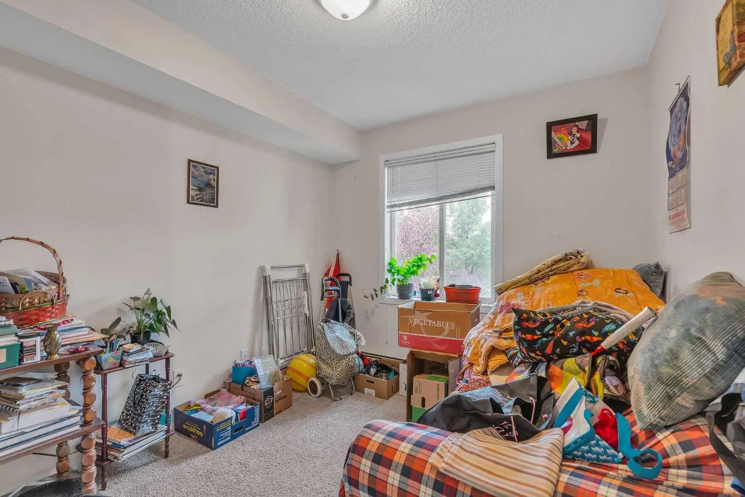 3340, 6818 Pinecliff Grove Northeast, Calgary – Residential Apartment Listing Photo 11