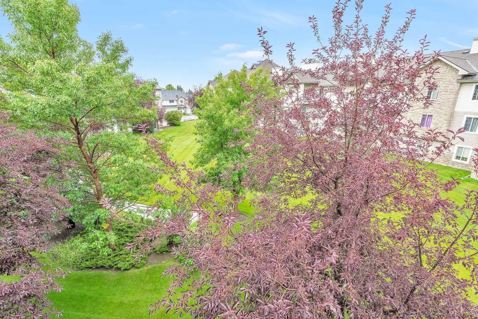 3340, 6818 Pinecliff Grove Northeast, Calgary – Residential Apartment Listing Photo 16