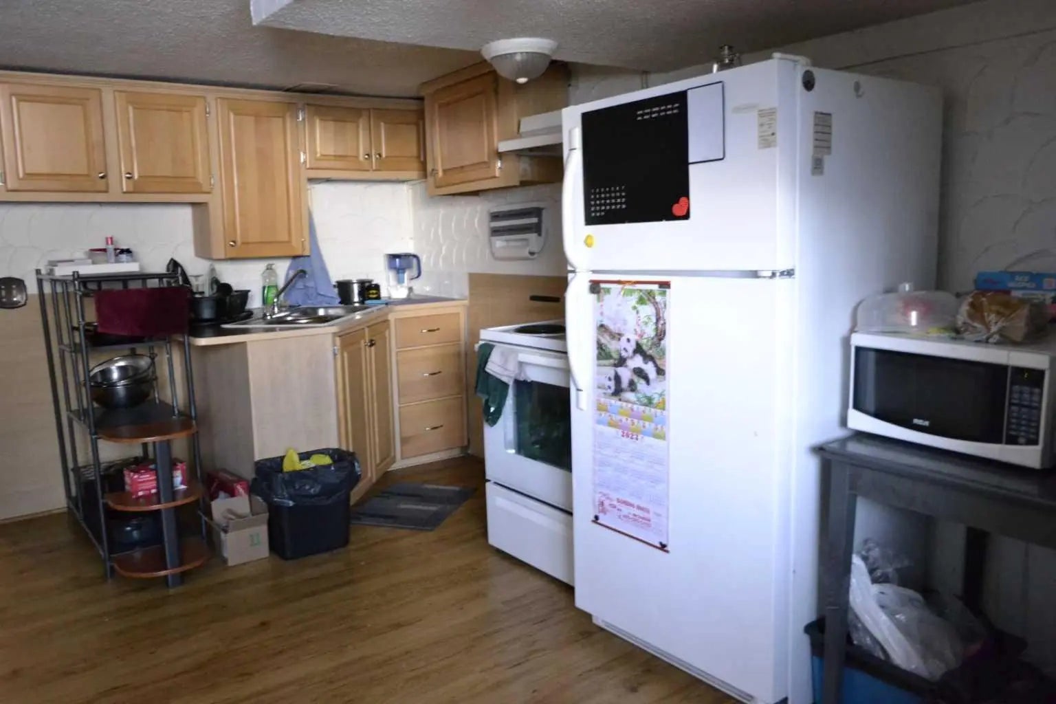 649 Pineland Road Northeast, Calgary – Residential Semi Detached (Half Duplex) Listing Photo 17