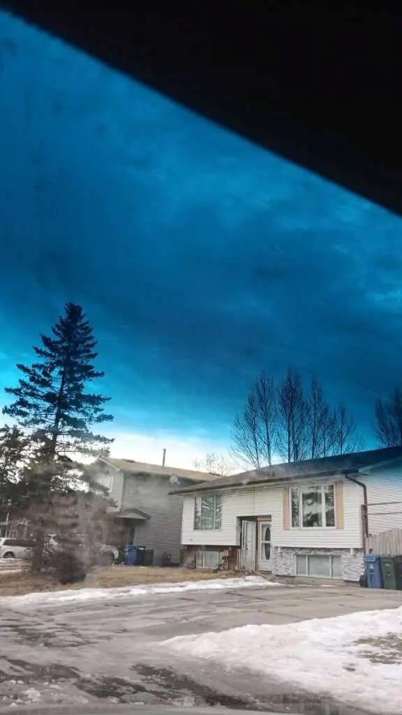 649 Pineland Road Northeast, Calgary – Residential Semi Detached (Half Duplex) Listing Photo 22