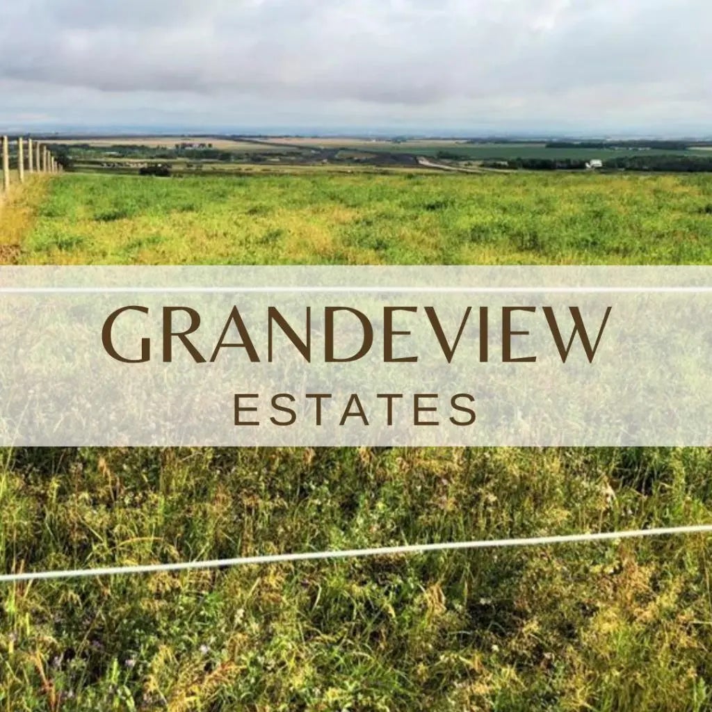 Photo of Listing #A2285438