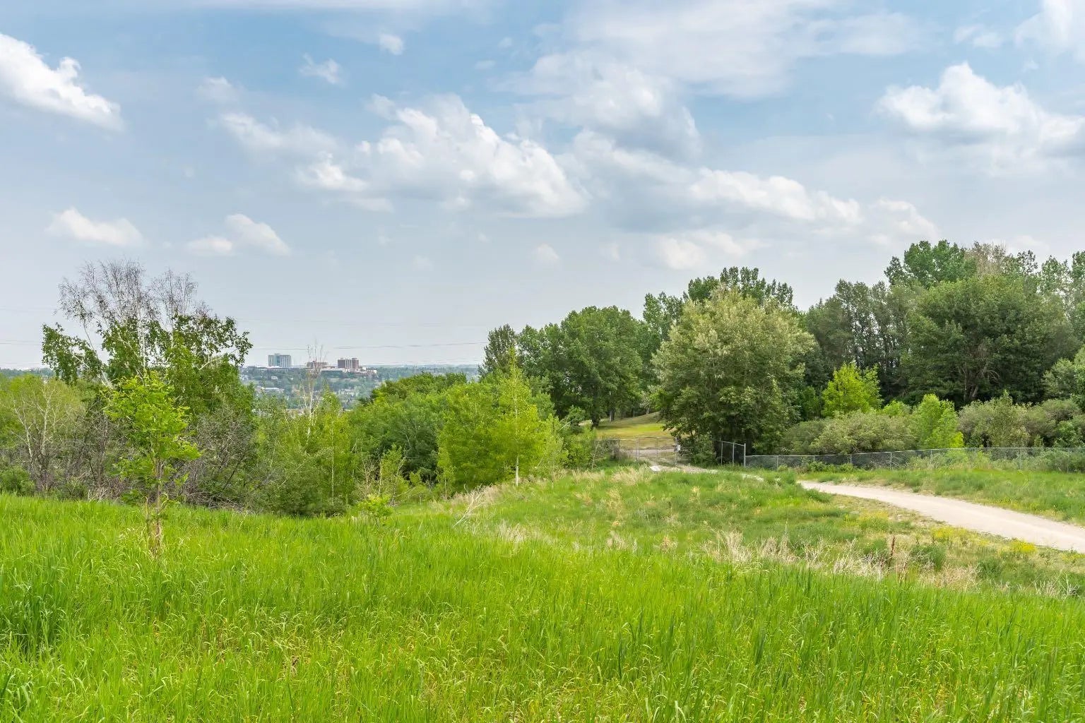 Photo of Listing #A2285651