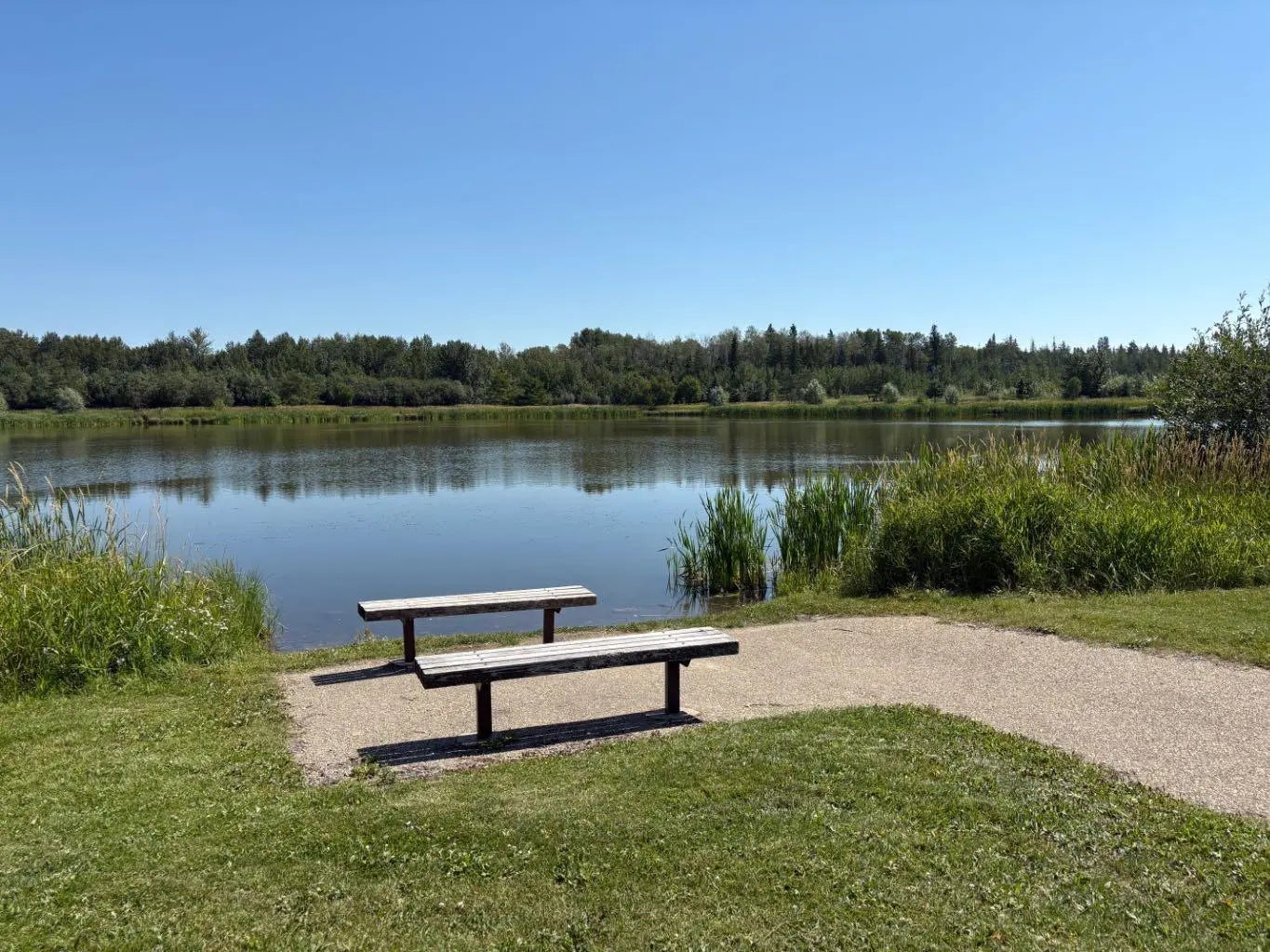 Photo of Listing #A2286295