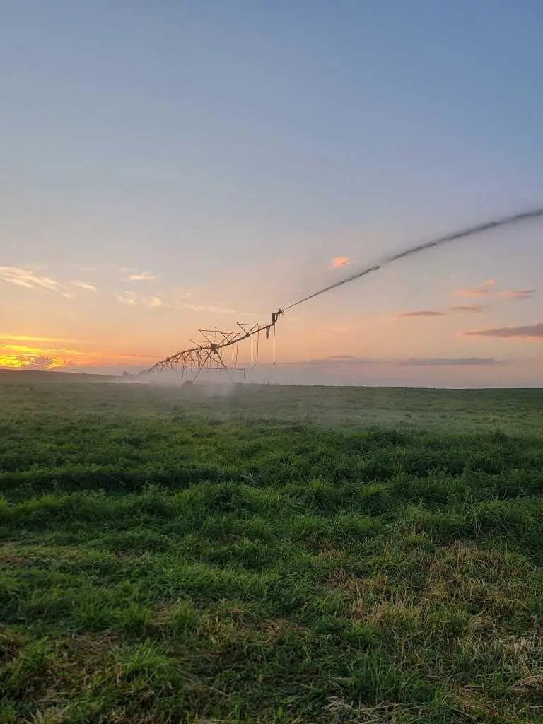  Hyw 24  , Rural Vulcan County