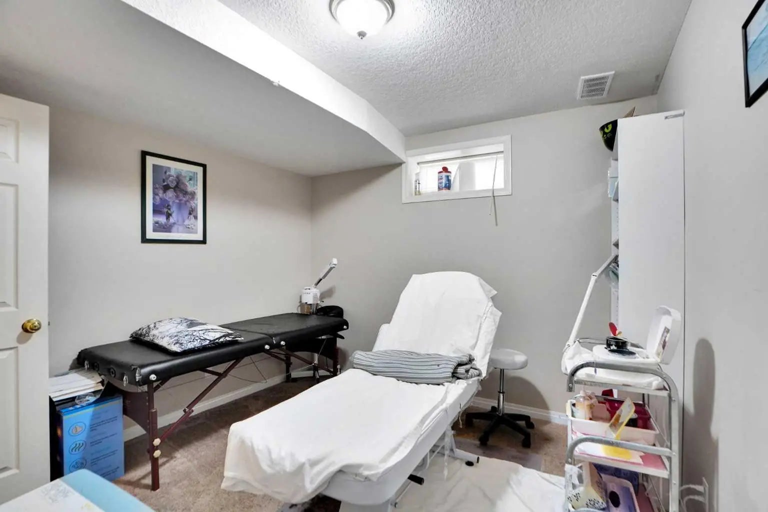 171 Coral Springs Park Northeast, Calgary – Residential Detached Listing Photo 12