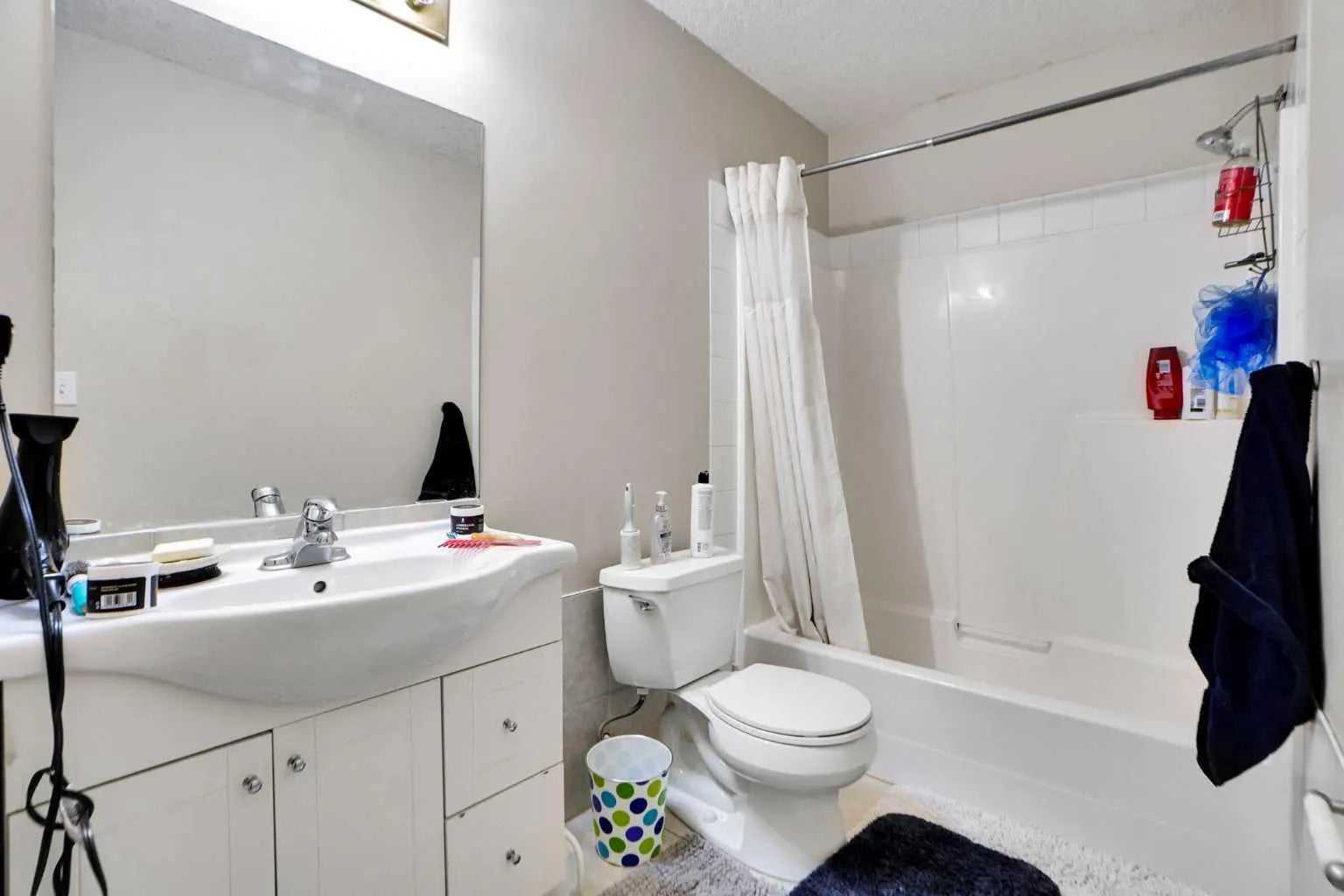 171 Coral Springs Park Northeast, Calgary – Residential Detached Listing Photo 13