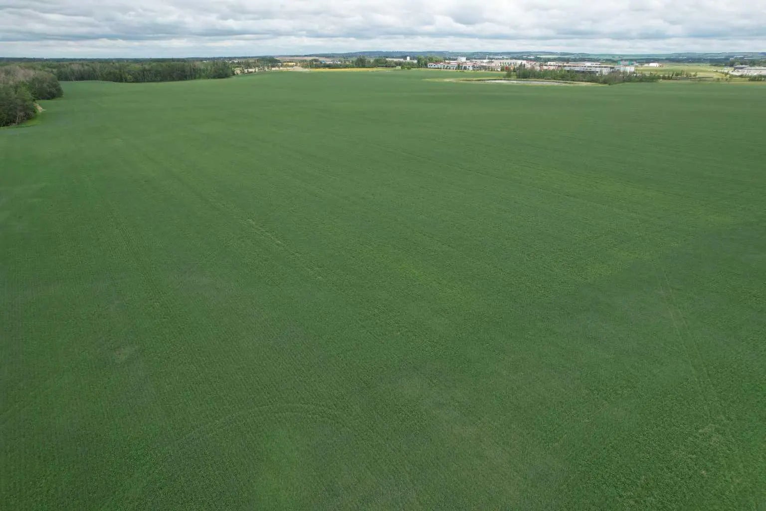 Photo of Listing #A2286741