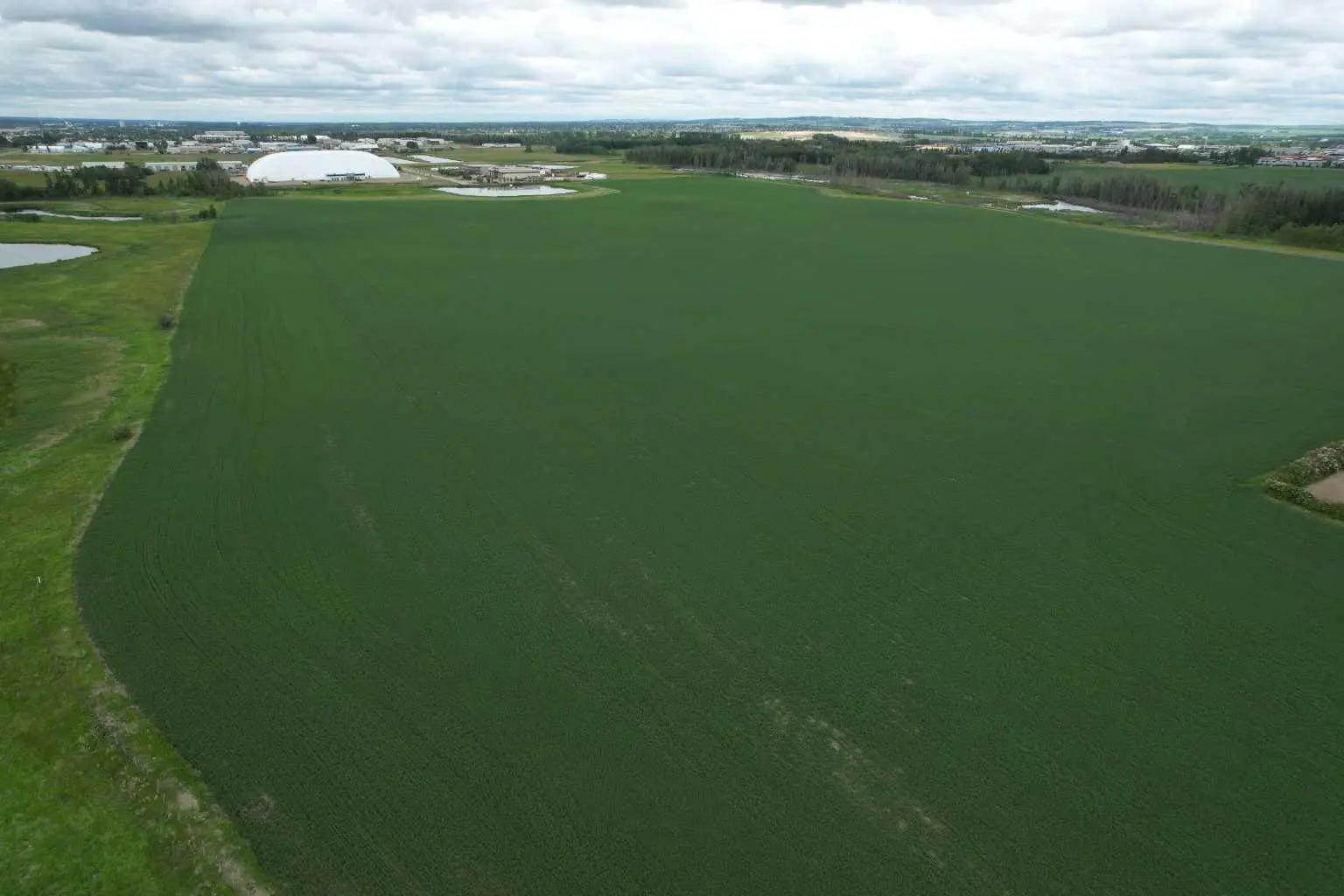 Photo of Listing #A2286742