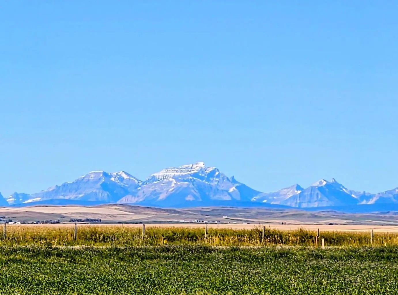 Photo of Listing #A2286928