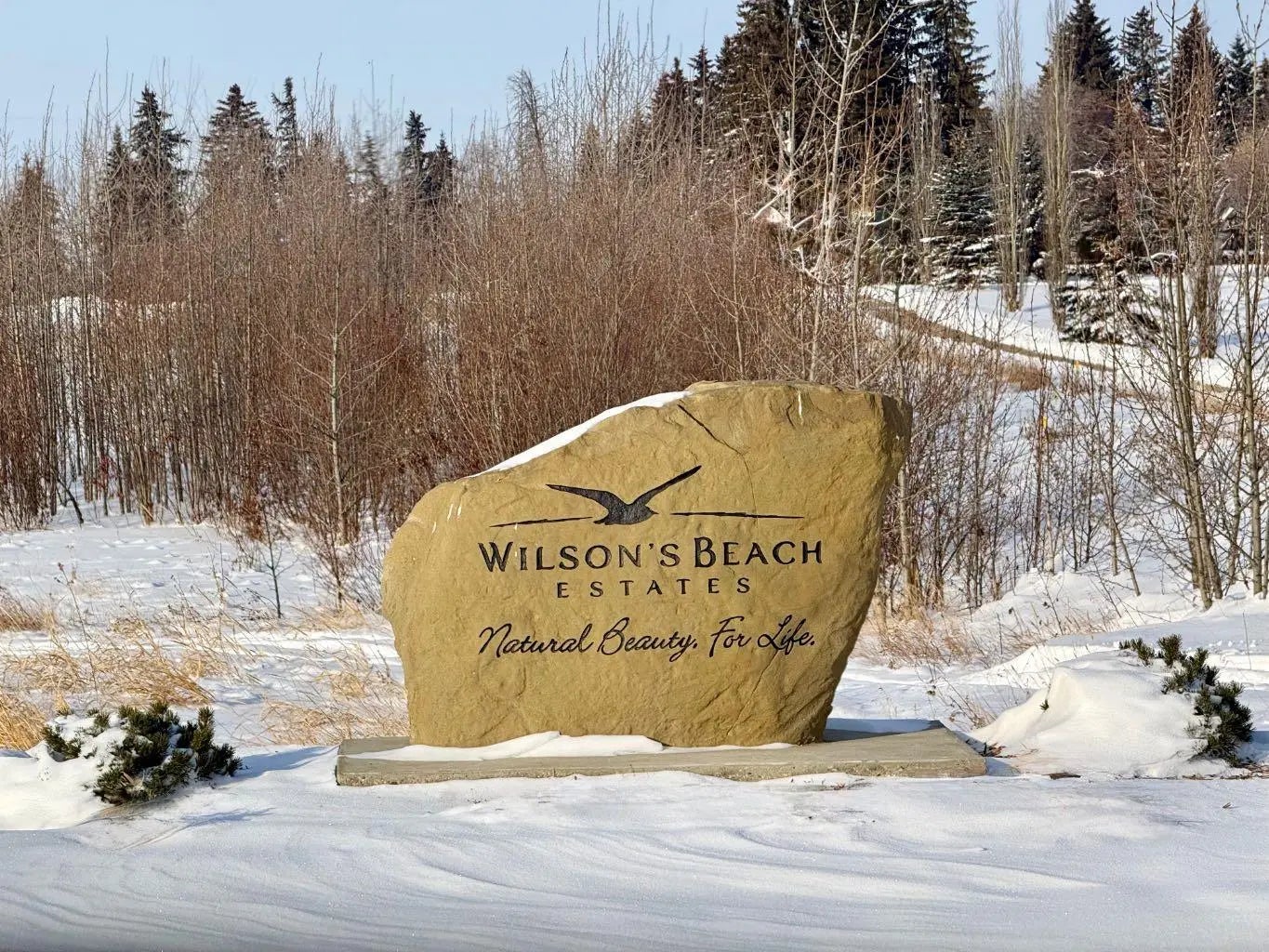 Photo of Listing #A2287601