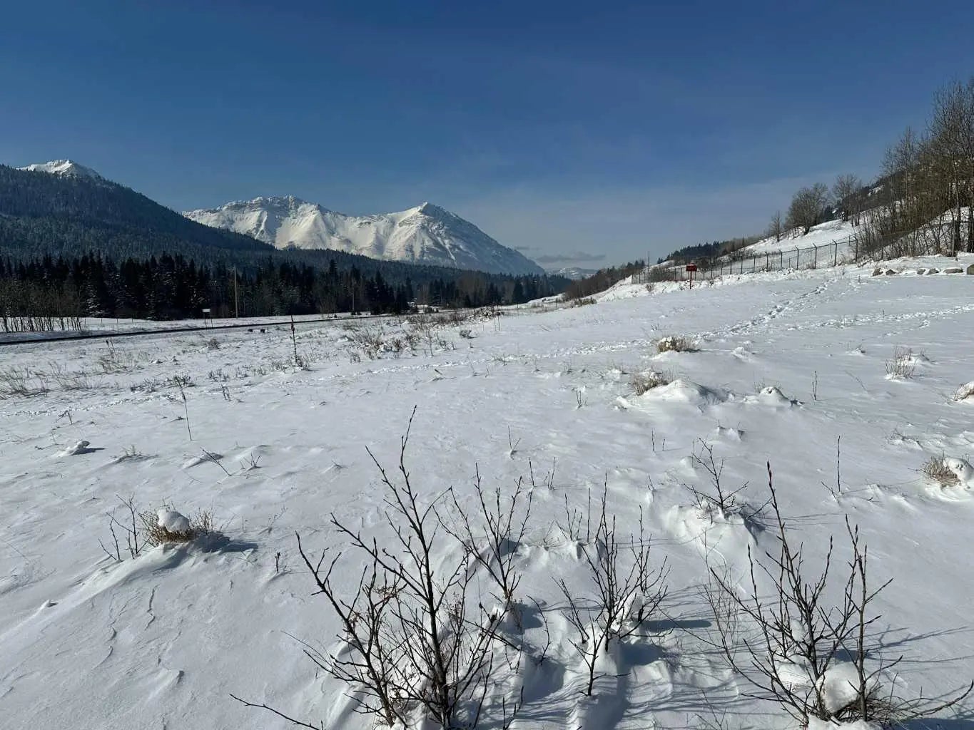 Photo of Listing #A2287969