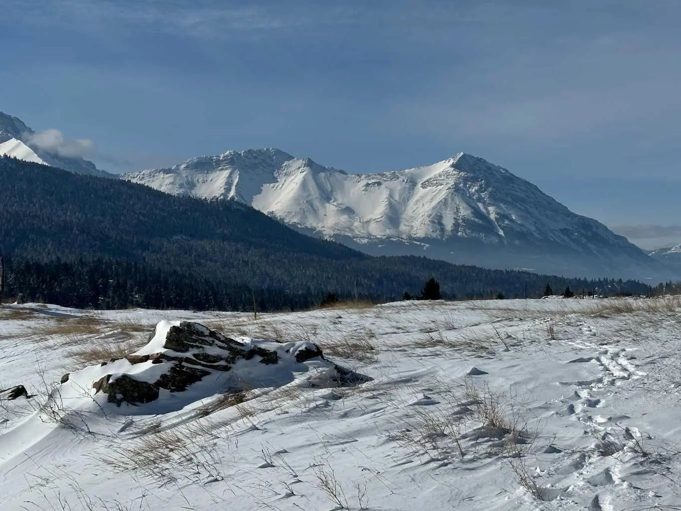 Photo of Listing #A2287970