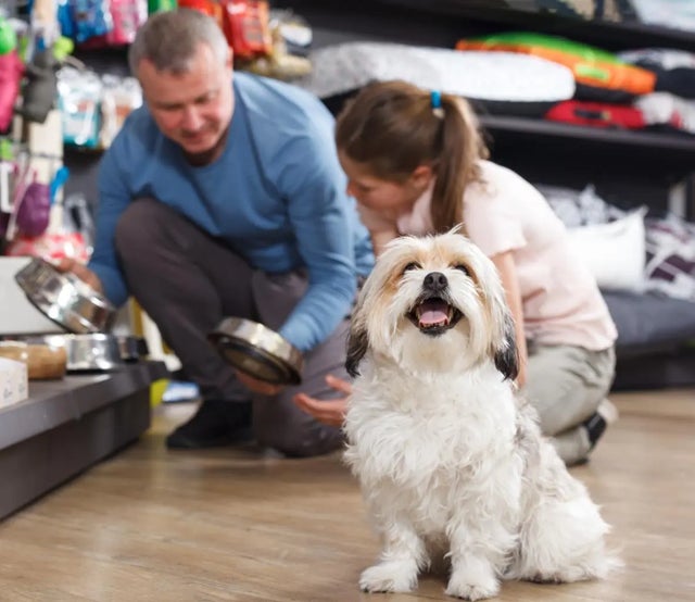 123 Pet Store Way  , Edmonton