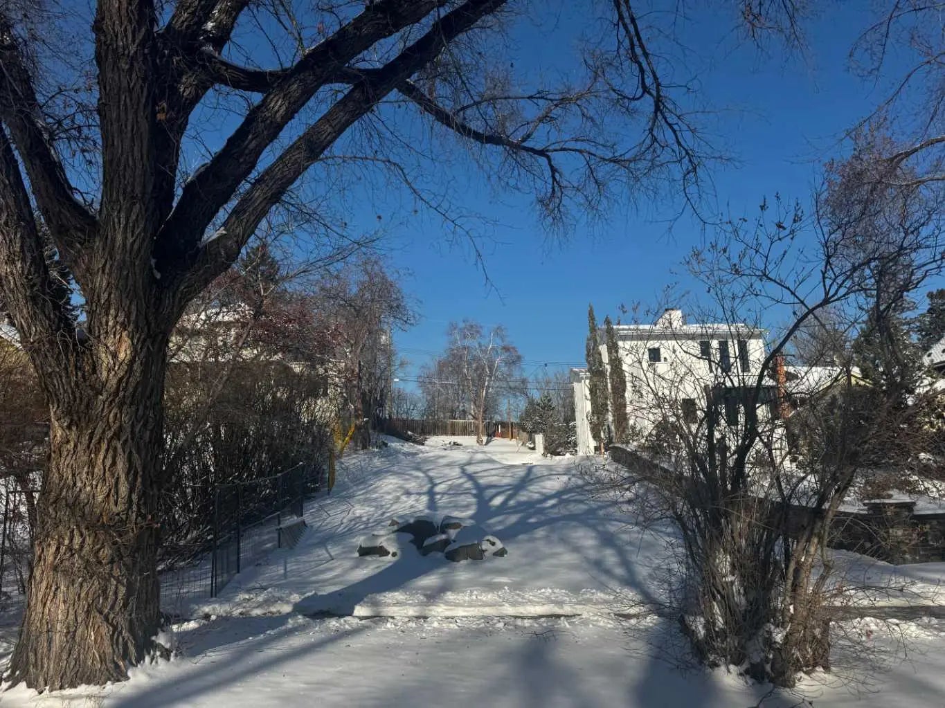 Photo of Listing #A2288252