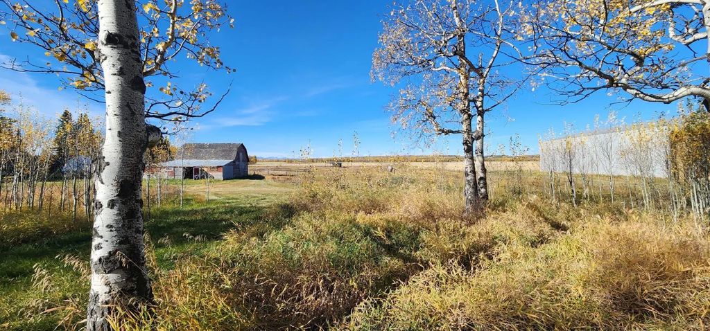  30308 Rr50  , Rural Mountain View County