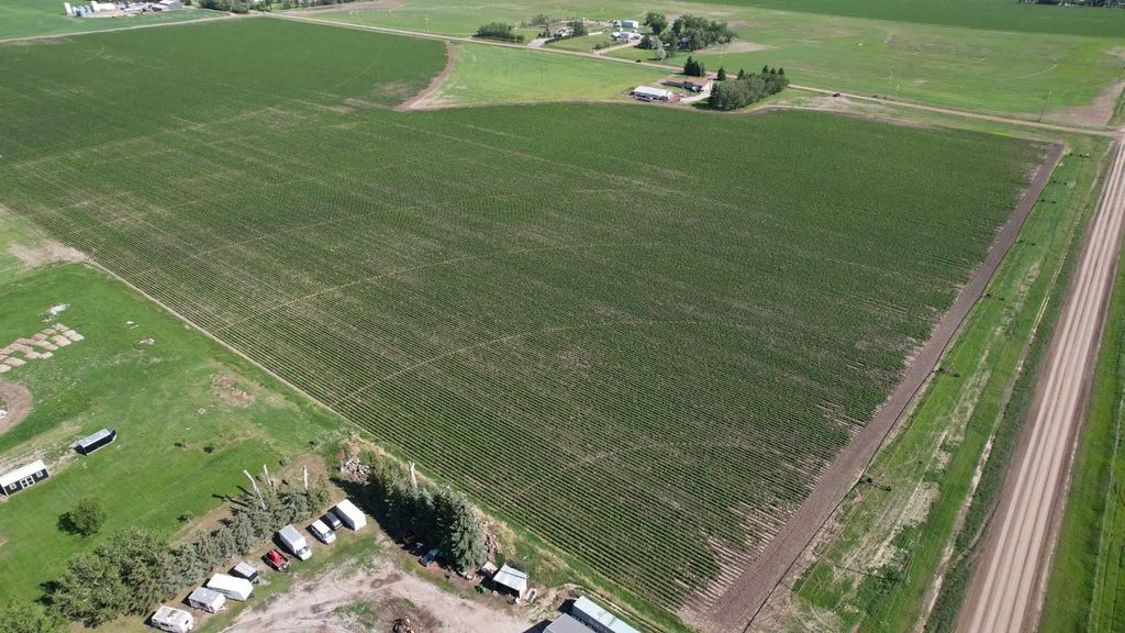 212072 Twp Rd 9-4  , Rural Lethbridge County