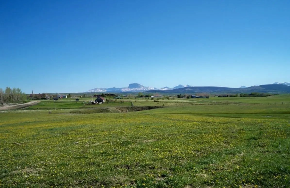 Photo of Listing #A2288436