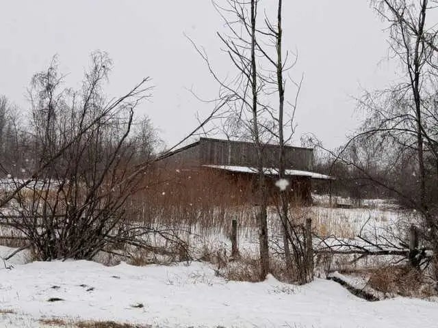 Photo of Listing #A2288547