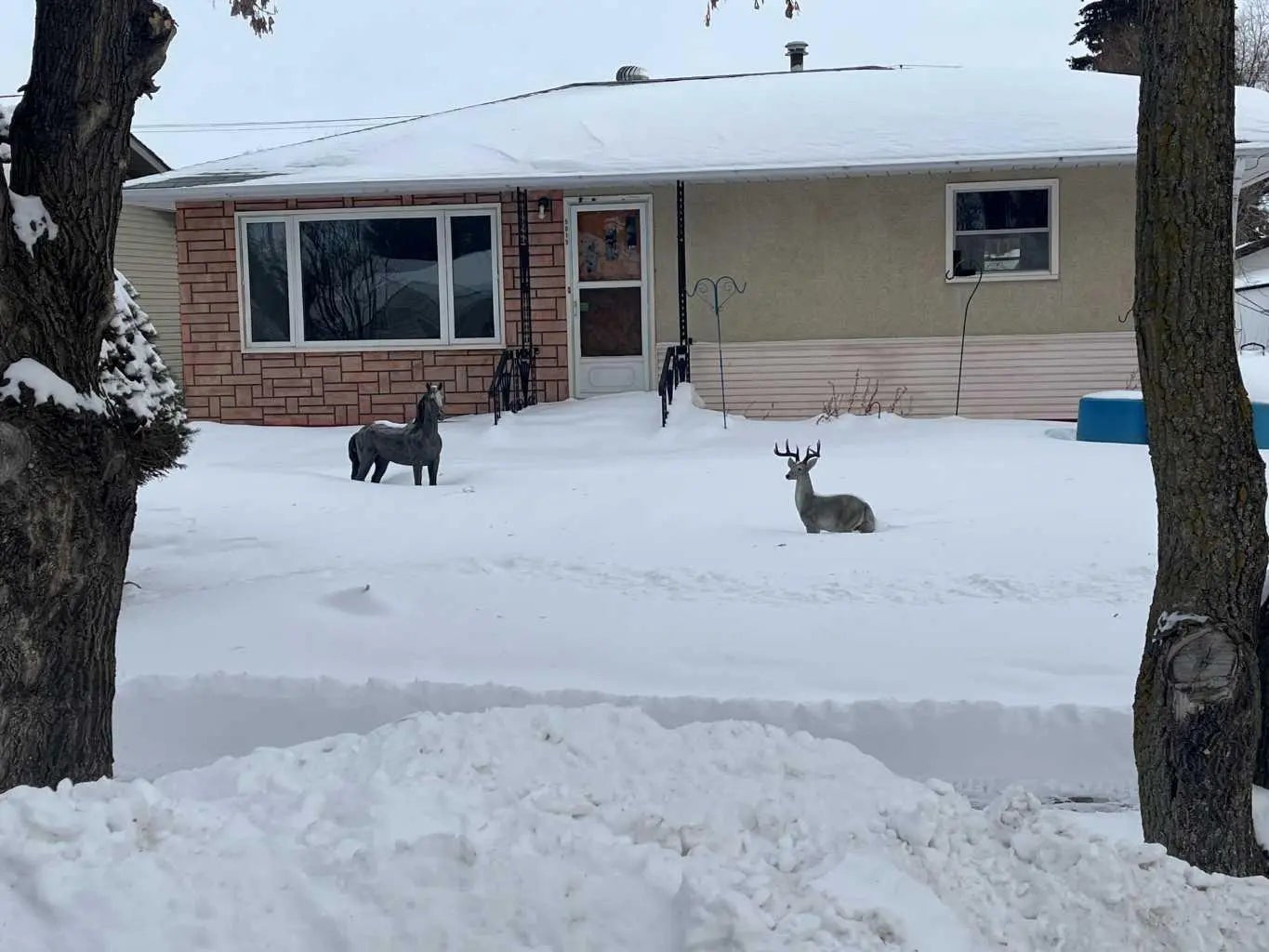 Photo of Listing #A2288550