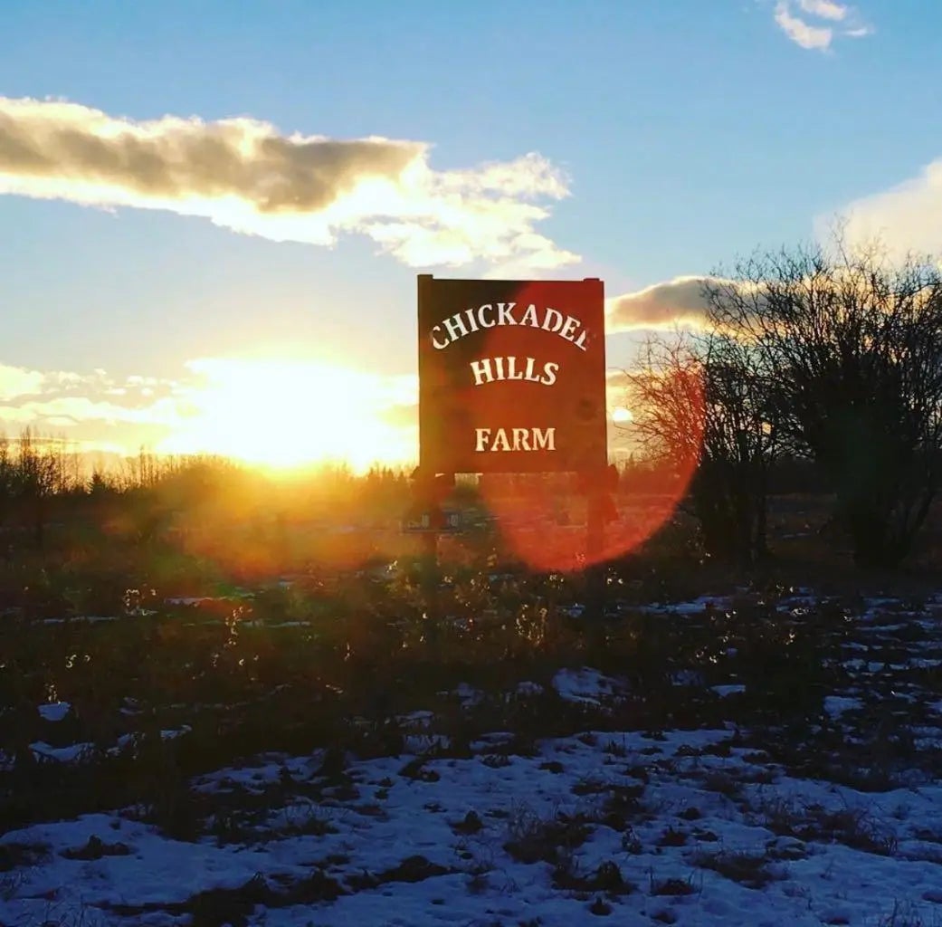 Photo of Listing #A2288558