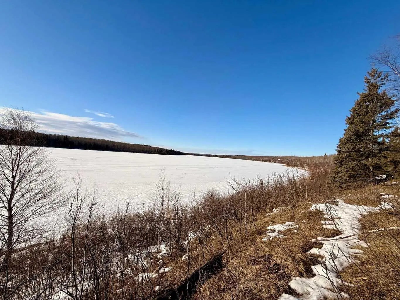 Photo of Listing #A2288662