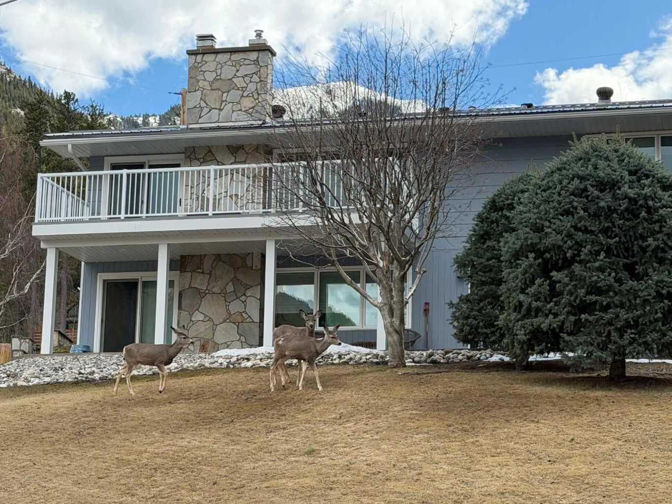 Photo of Listing #A2289484